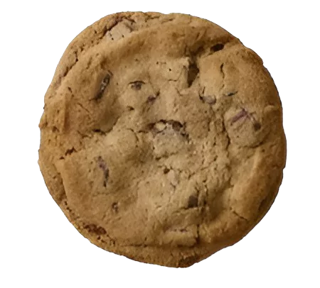 SNICKERDOODLE COOKIE